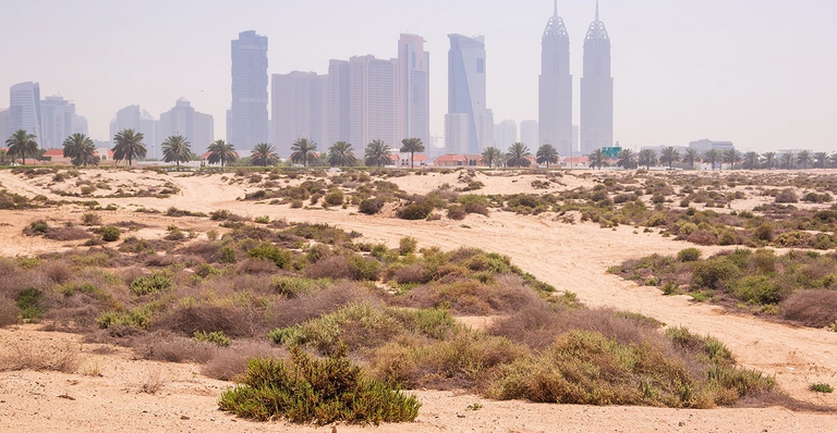 deserto intorno a Dubai