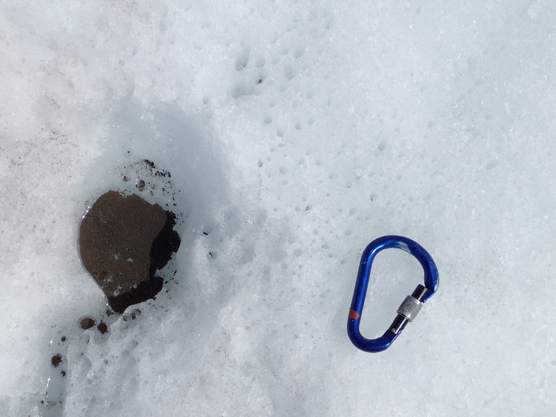 09. Esempio di coppa crioconitica studiata sul ghiacciaio del Morteratsch