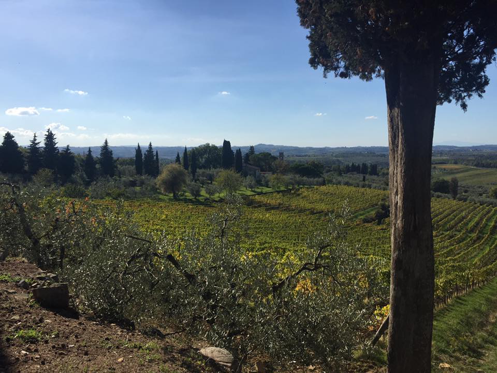 Day 2 - Near Greve in Chianti