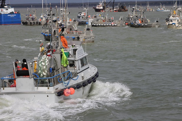 imbarcazioni per la pesca al salmone