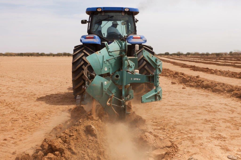 Un aratro in azione in Burkina Faso, Fao