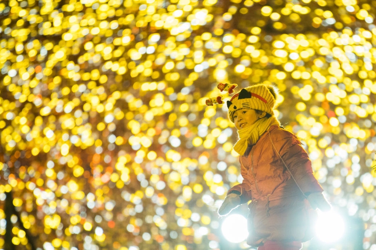 capodanno cinese 2019 date usanze tradizioni festggiamenti