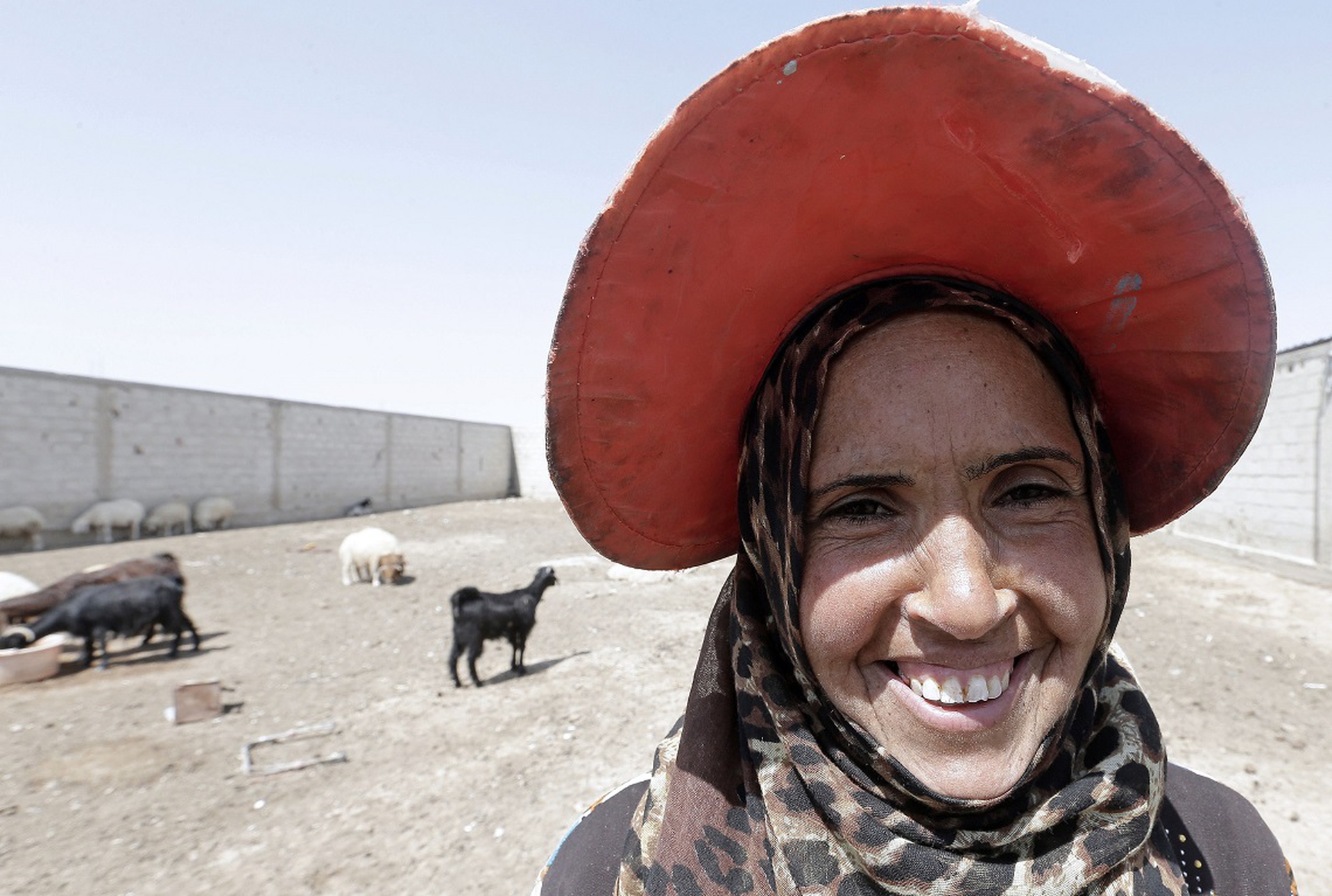 L'allevatrice siriana Um Yazan