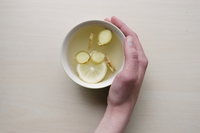 Antibiotici naturali: le migliori piante e prodotti naturali per le difese immunitarie