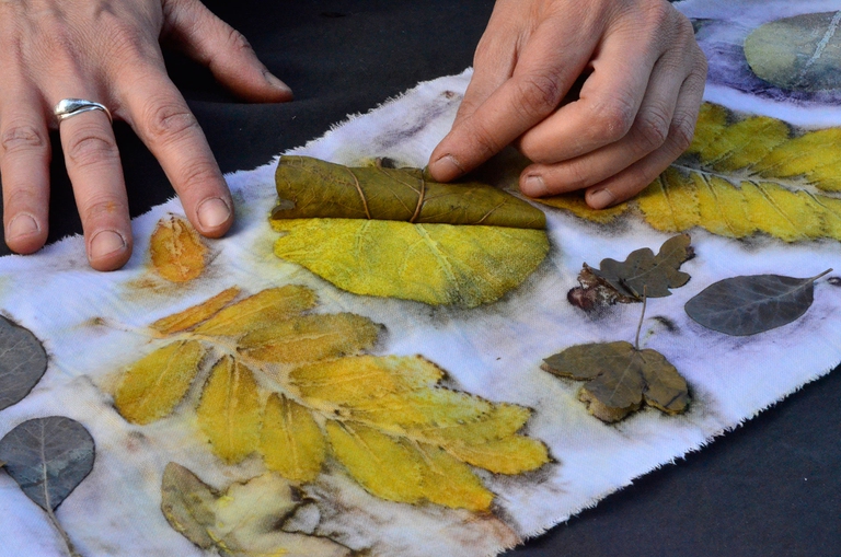 natura ed ecoprinting