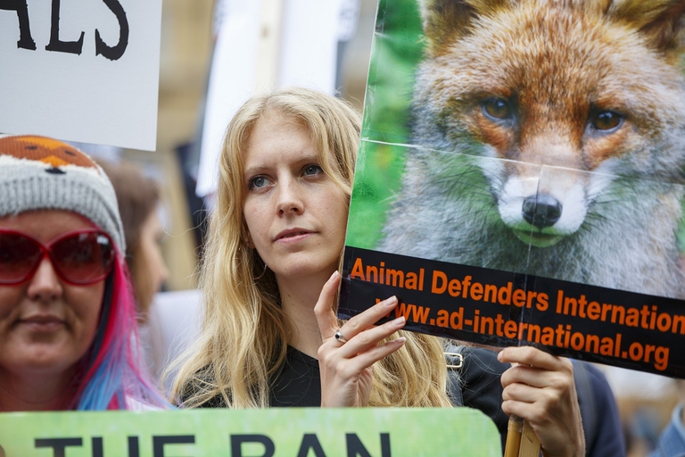 Protesta contro la caccia alla volpe