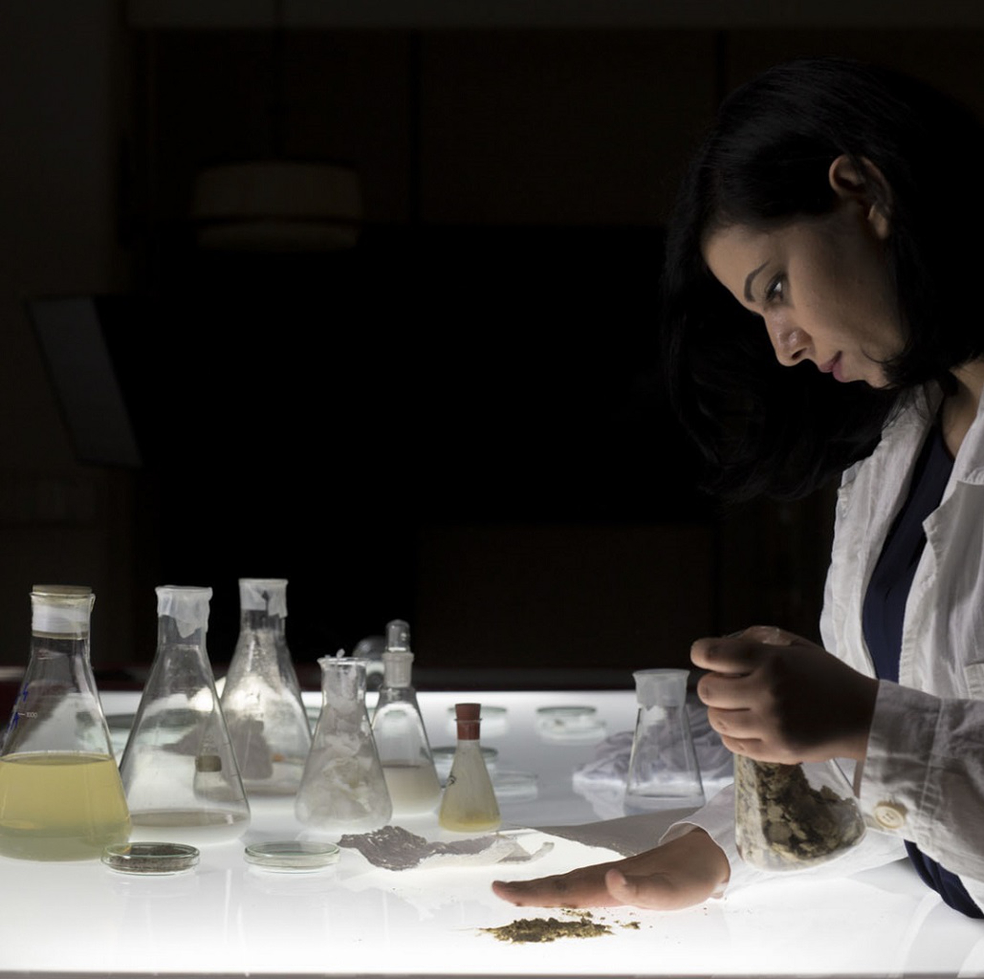 La lavorazione di Mestic