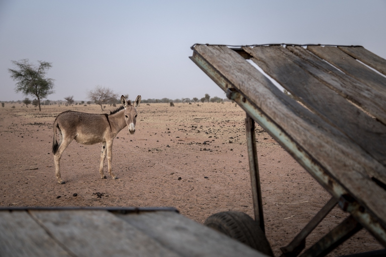 La mancanza di acqua nel Sahel senegalese