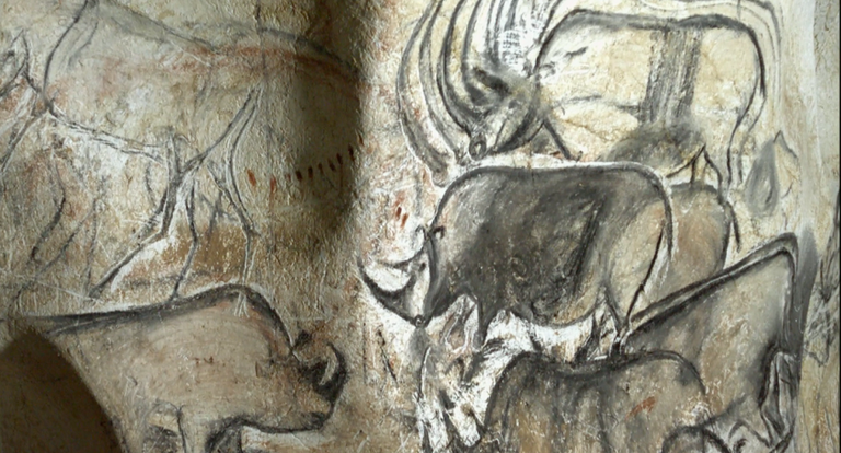 disegni di rinoceronte nella grotta Chauvet