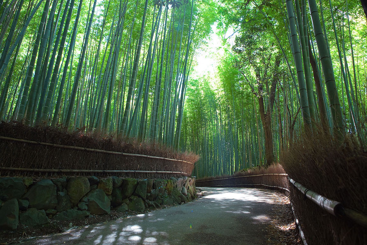 The bamboo forest of Sagano has beautiful sounds that must
