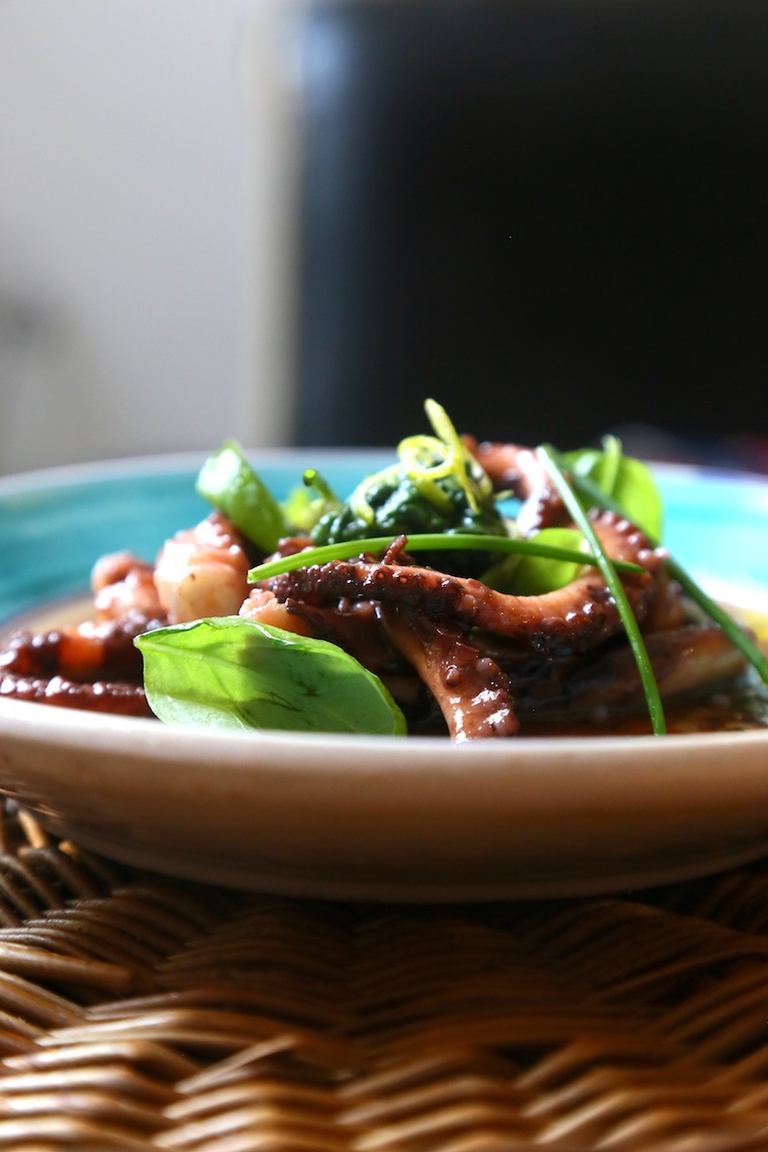 polpo nella sua acqua