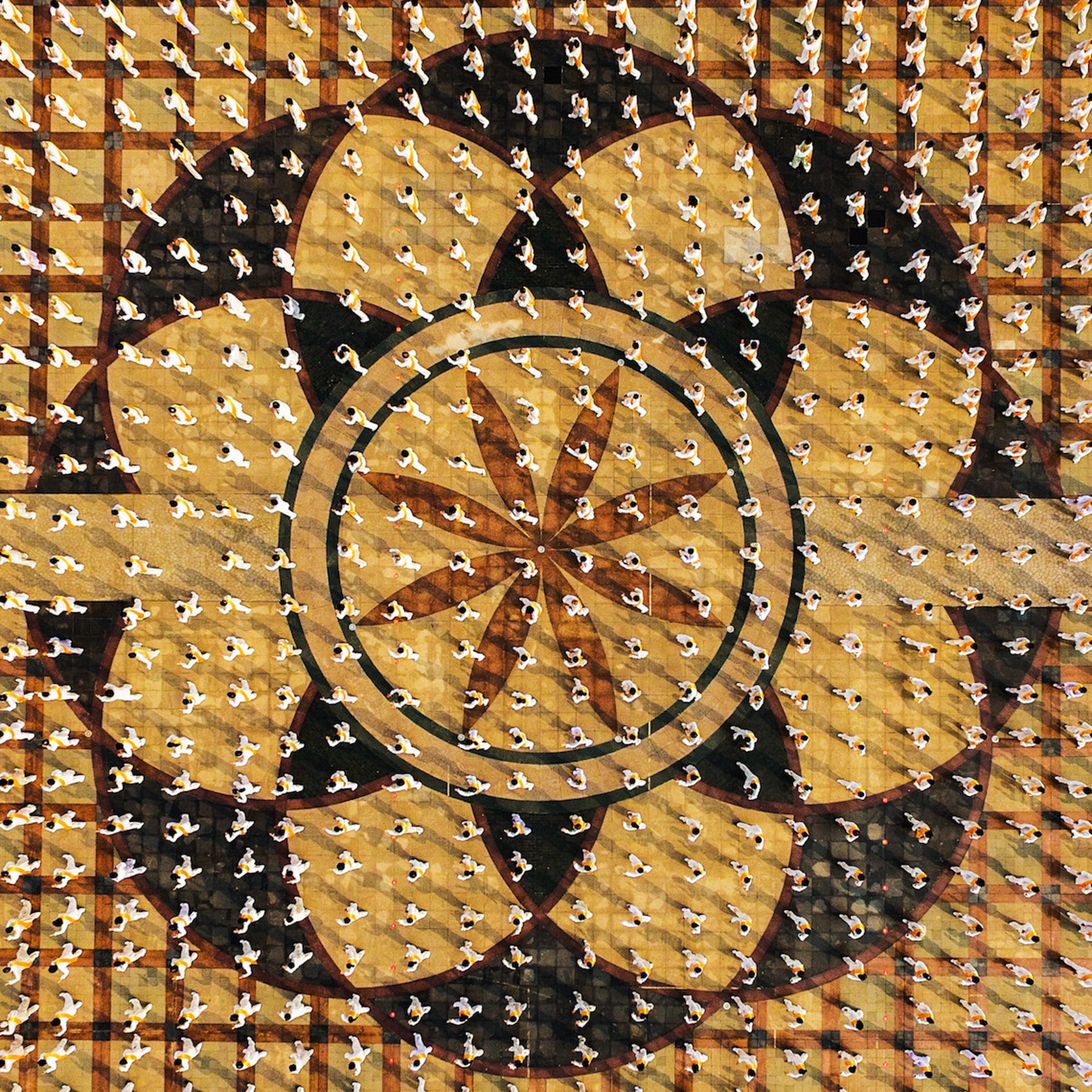 Le foto vincenti dei Sony world photography awards 2017