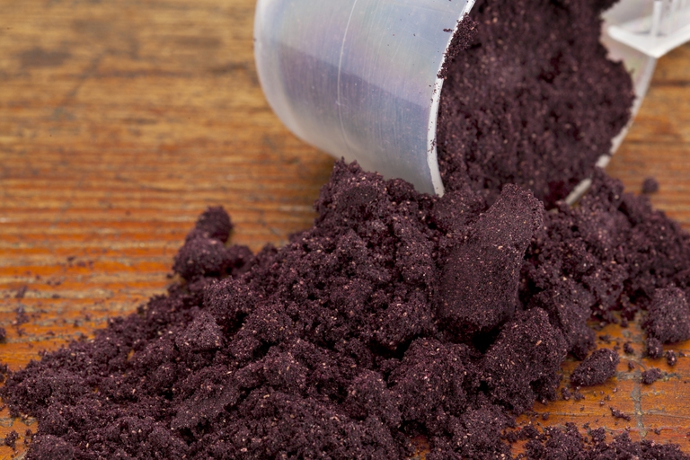 Polvere di maqui dal colore viola