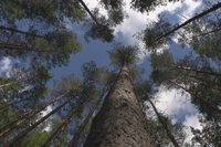 Cinemambiente in Valchiusella 2020: film, incontri e iniziative nella natura