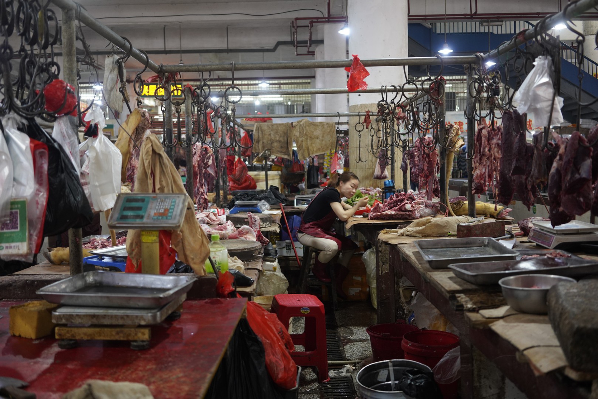 Un’immagine dai wet market in Cina