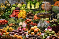 L’Italia guida la lotta alla plastica, eppure inciampa e si lamenta