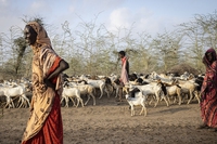 I paesi africani spenderanno in media il 4% del pil per salvarsi dalla crisi climatica