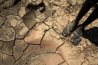 Aprile è il settimo mese di fila che fa registrare temperature record. Il 2016 sarà il più caldo di sempre