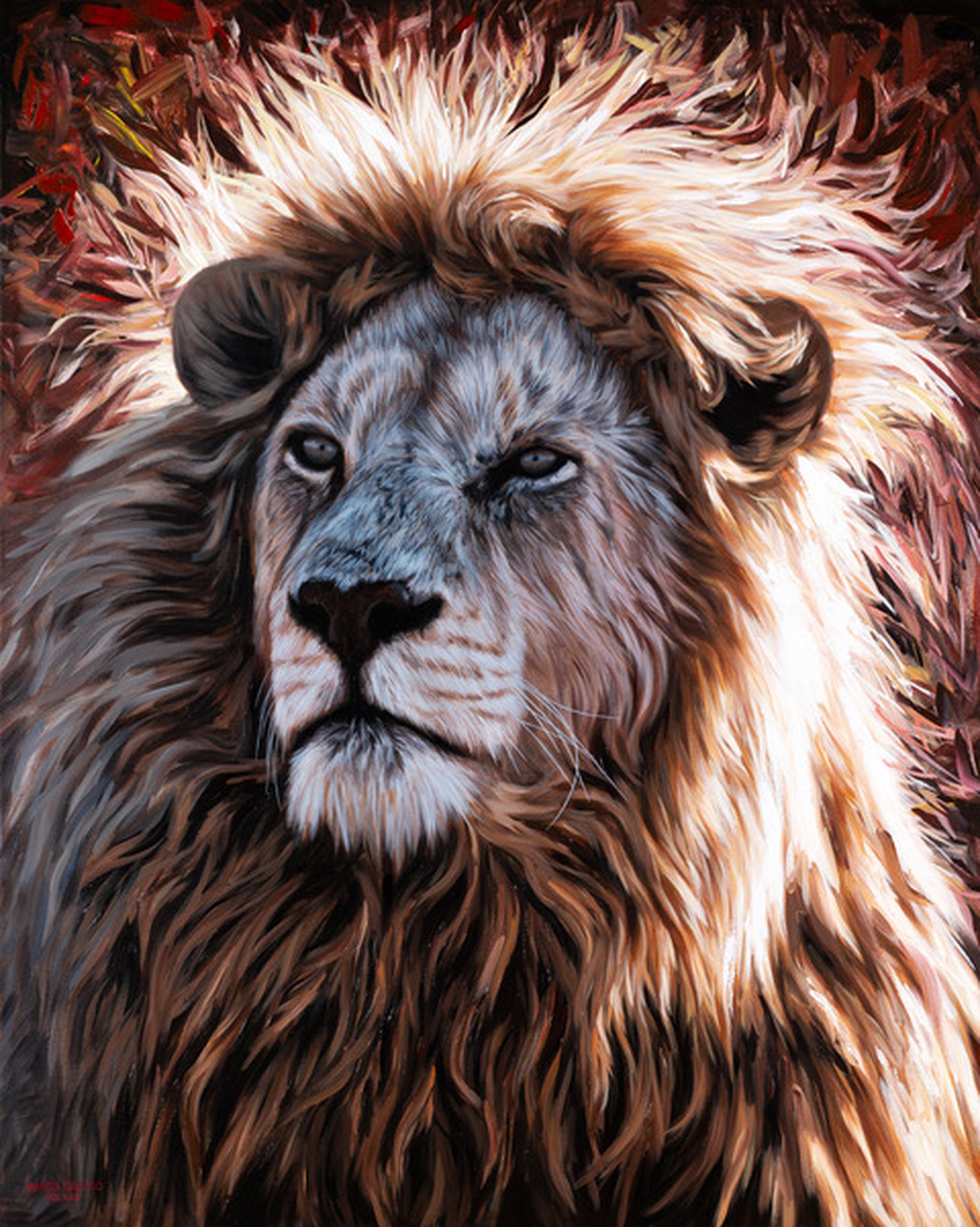 Marco Grasso Le Roi Soleil 2022