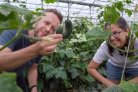 L’atto rivoluzionario di salvare il cibo nella serie tv voluta dalla gente