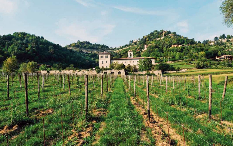 Comincia il 20 giugno il ciclo di appuntamenti sulla montagna dal titolo Crocevia. Sentieri e autori che si incontrano