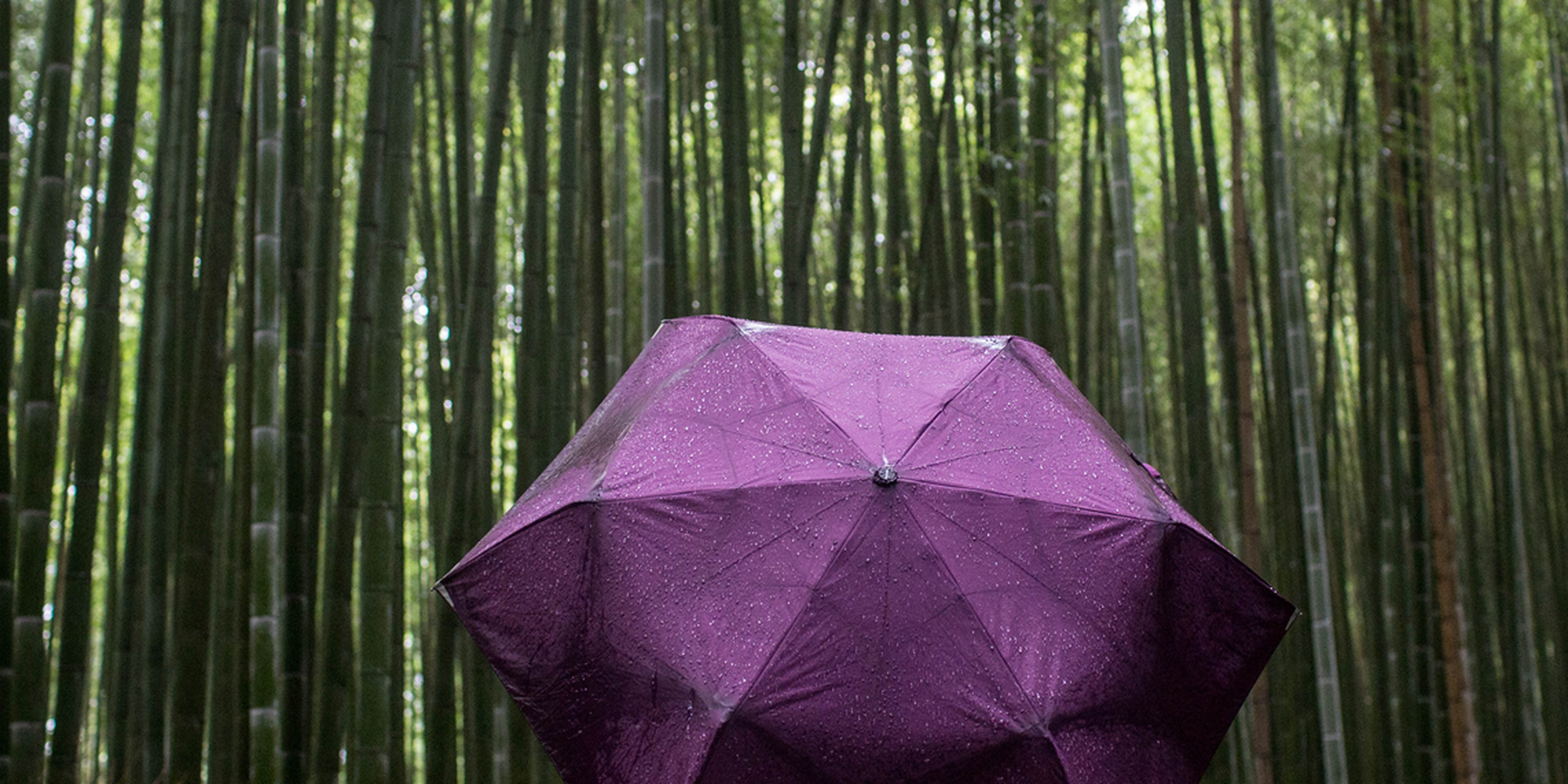 The bamboo forest of Sagano has beautiful sounds that must