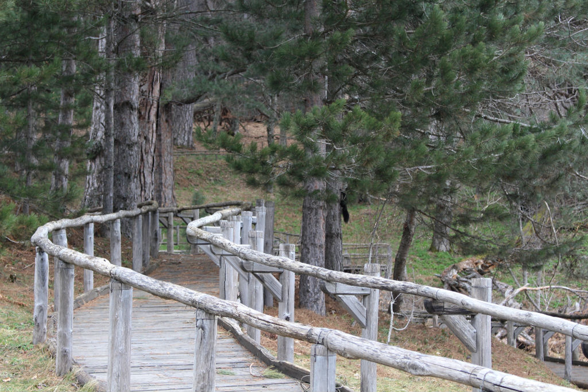 I giganti di Fallistro