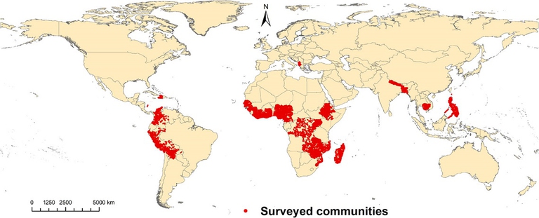 Grafico che illustra la distribuzione delle famiglie analizzate dallo studio