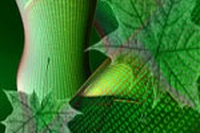 Il new enterprise data center, green nell’anima