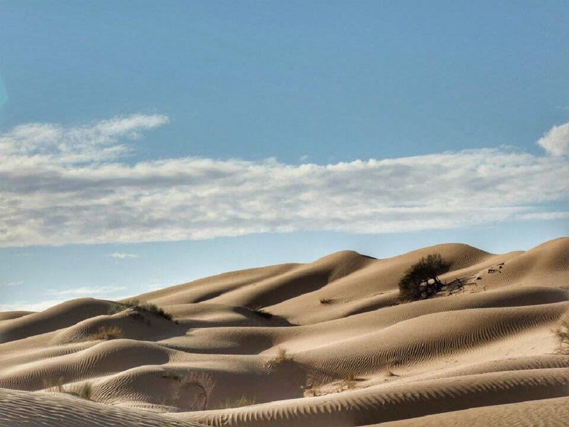 Durante il trekking itinerante nel deserto si dormirà in accampamenti
