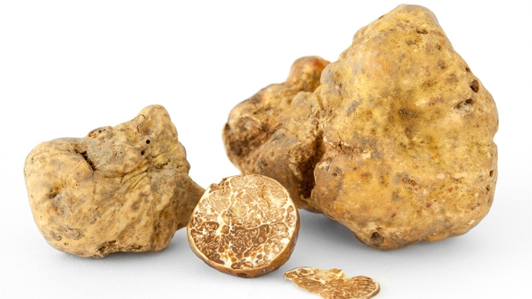 tartufo-bianco-afrodisiaci