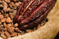 Mars vuole trasformare il cacao