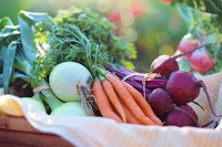 Cibo e salute: quando semplicità e agroecologia possono (letteralmente) salvarci la vita