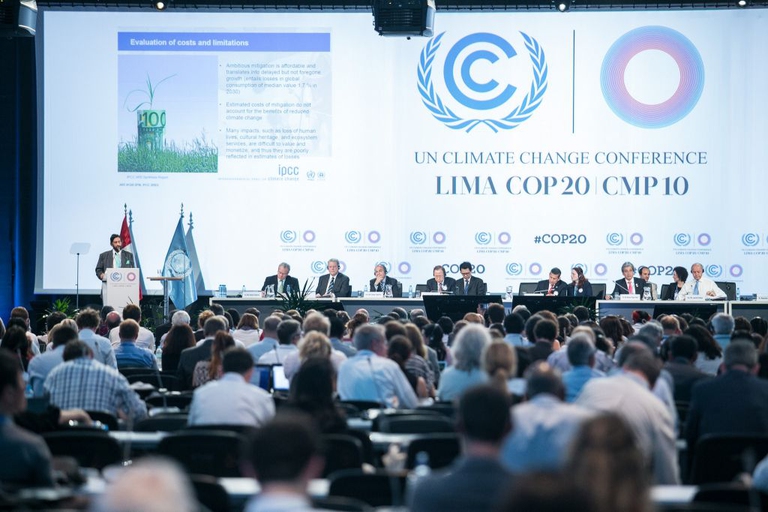 cop20-3