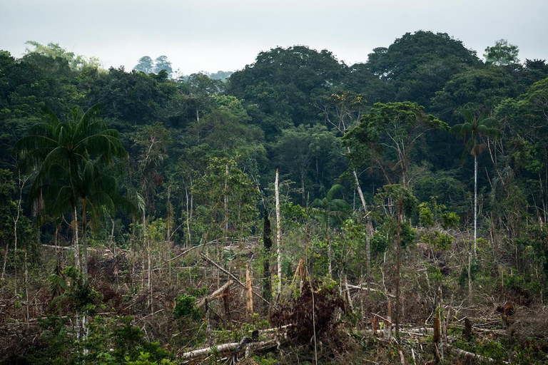 Attività illegali e coronavirus