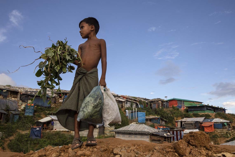 Un piccolo profugo Rohingya in Bangladesh