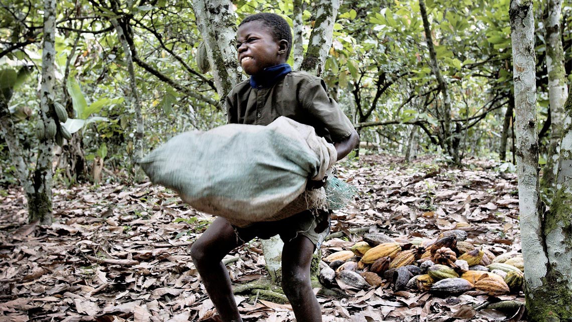 bambini-schiavi-cacao