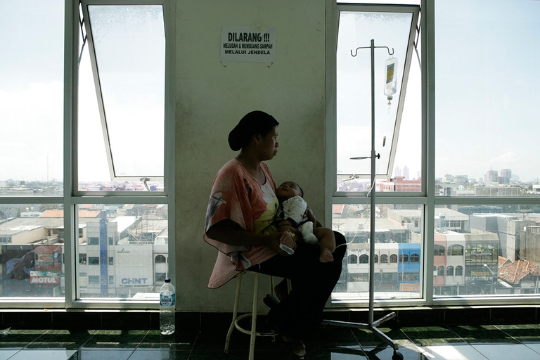 indonesia, dengue, zanzare