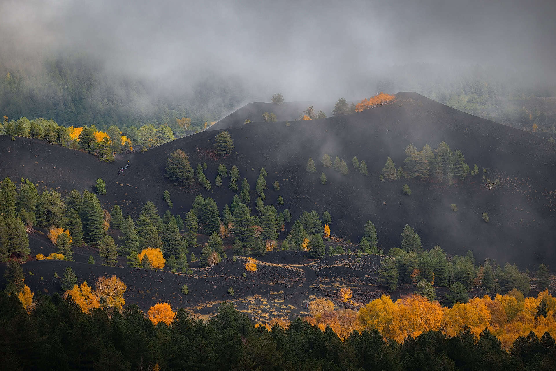 “Dance on a Volcano”: paesaggio lunare, macchiato dalle chiome variopinte degli alberi, nel cuore del parco dell’Etna (Sicilia) © Mauro Tronto