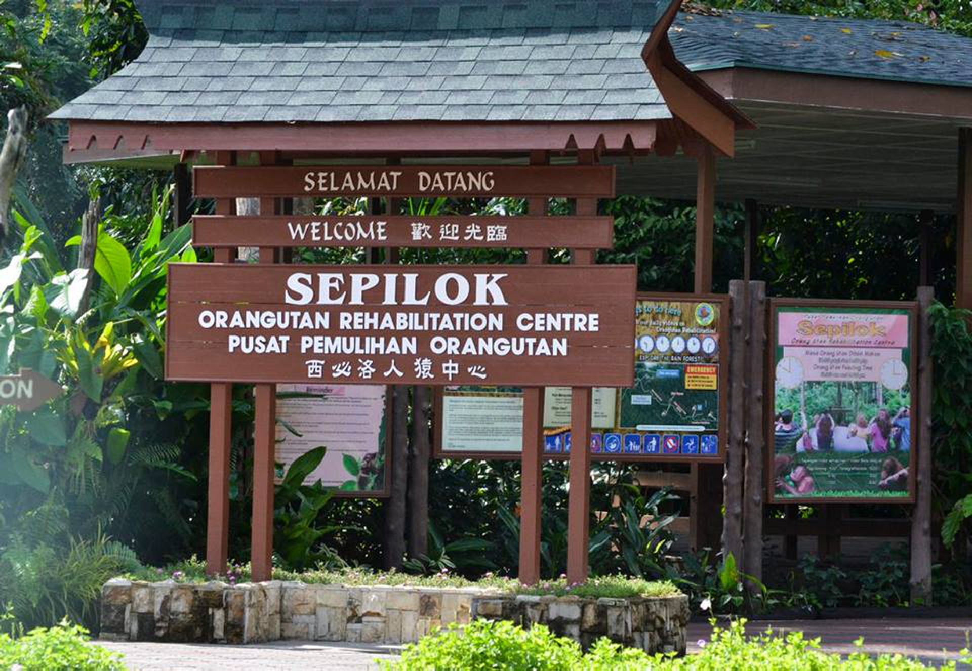 Sepilok Orangutan Rehabilitation Centre