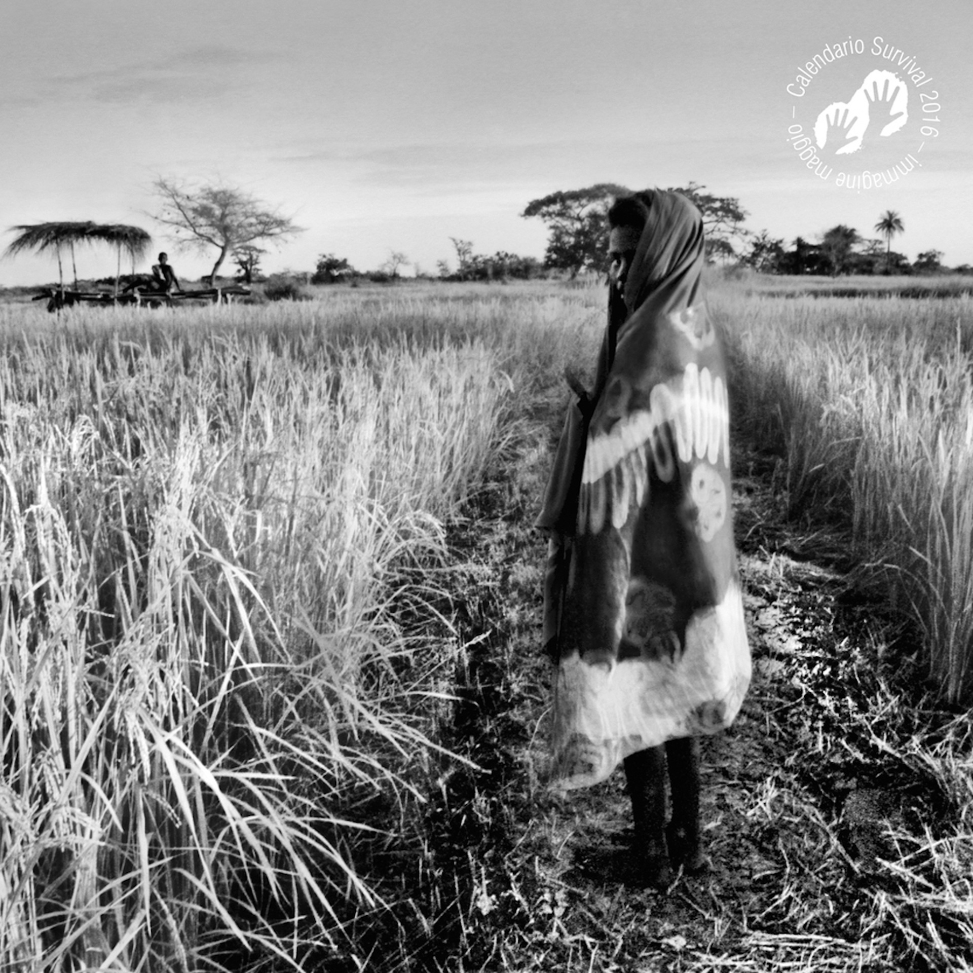2016 calendar of Survival International, May