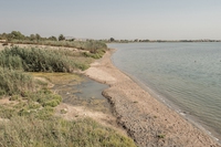 Spagna, concessa la personalità giuridica al Mar Menor