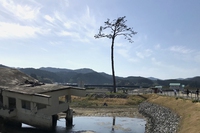 The Tokyo 2020 Reconstruction Games start from the tsunami-hit areas