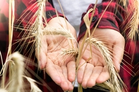Start up bio, l’Erasmus per chi vuole studiare l’agricoltura biologica