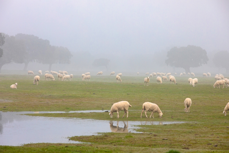 temperature di aprile 2021