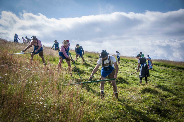 La falciatura dell'erba con il metodo tradizionale