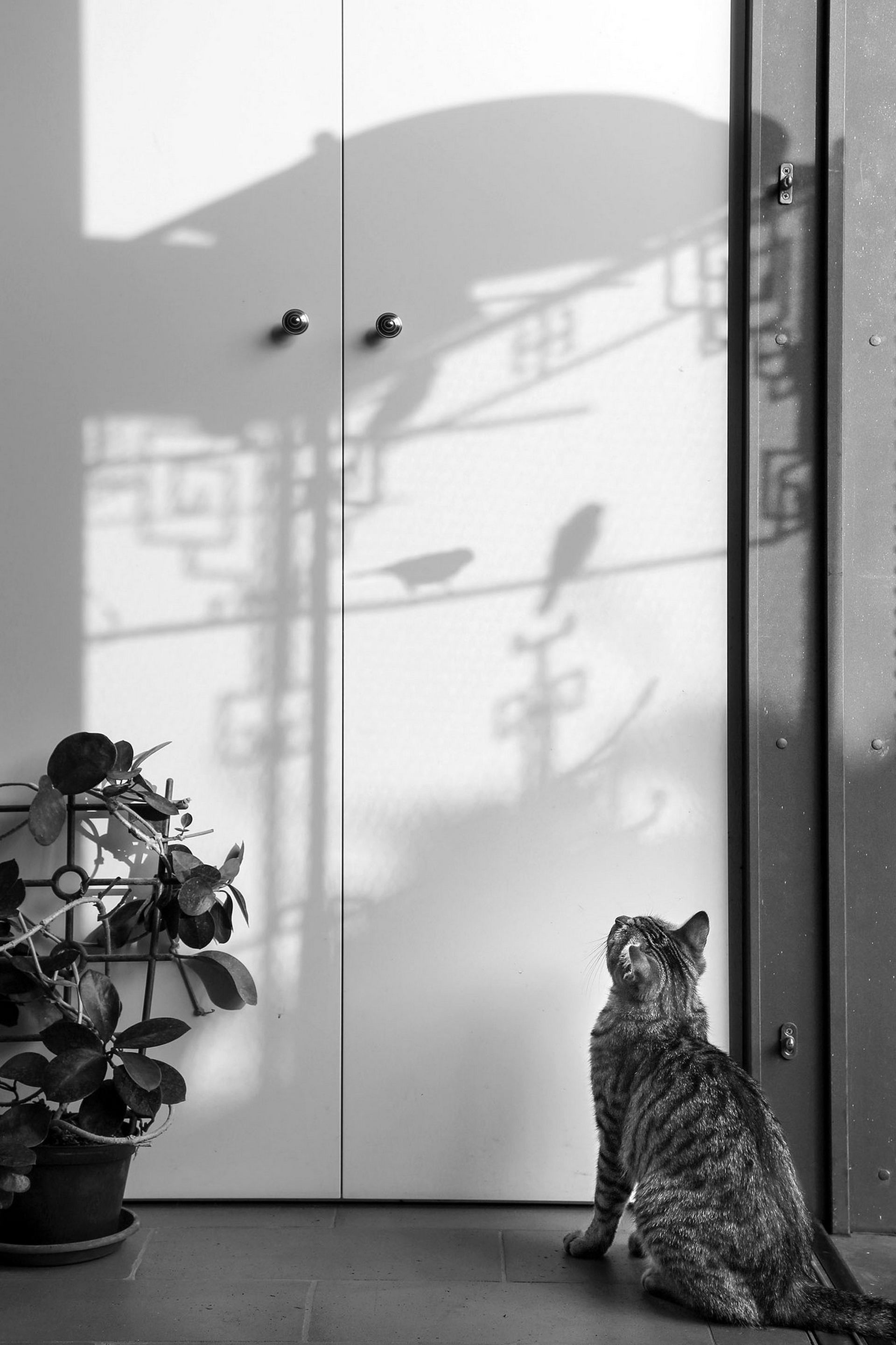 Andrea Micheli, Bernardo Bertolucci