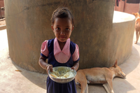 The revival of millets is improving the lives of tribespeople in Odisha