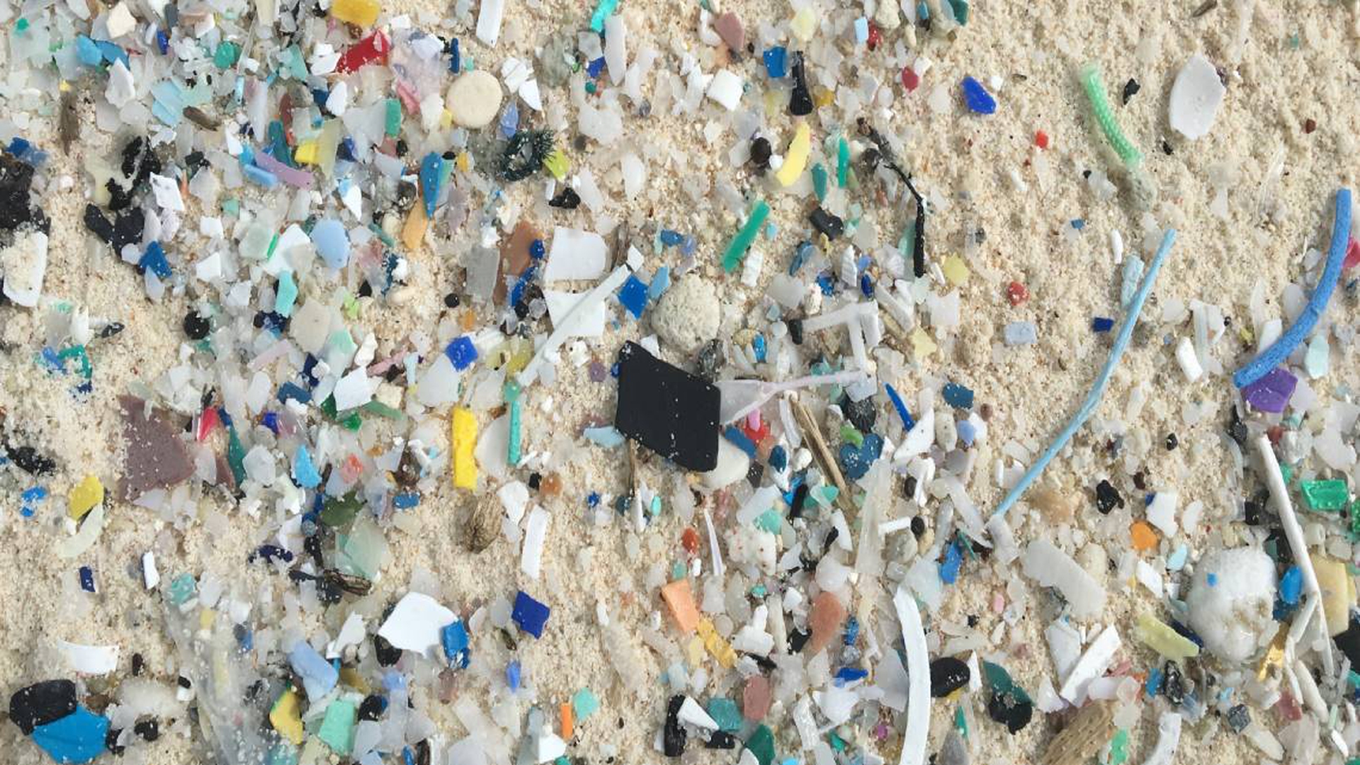 plastica isole cocos (3)