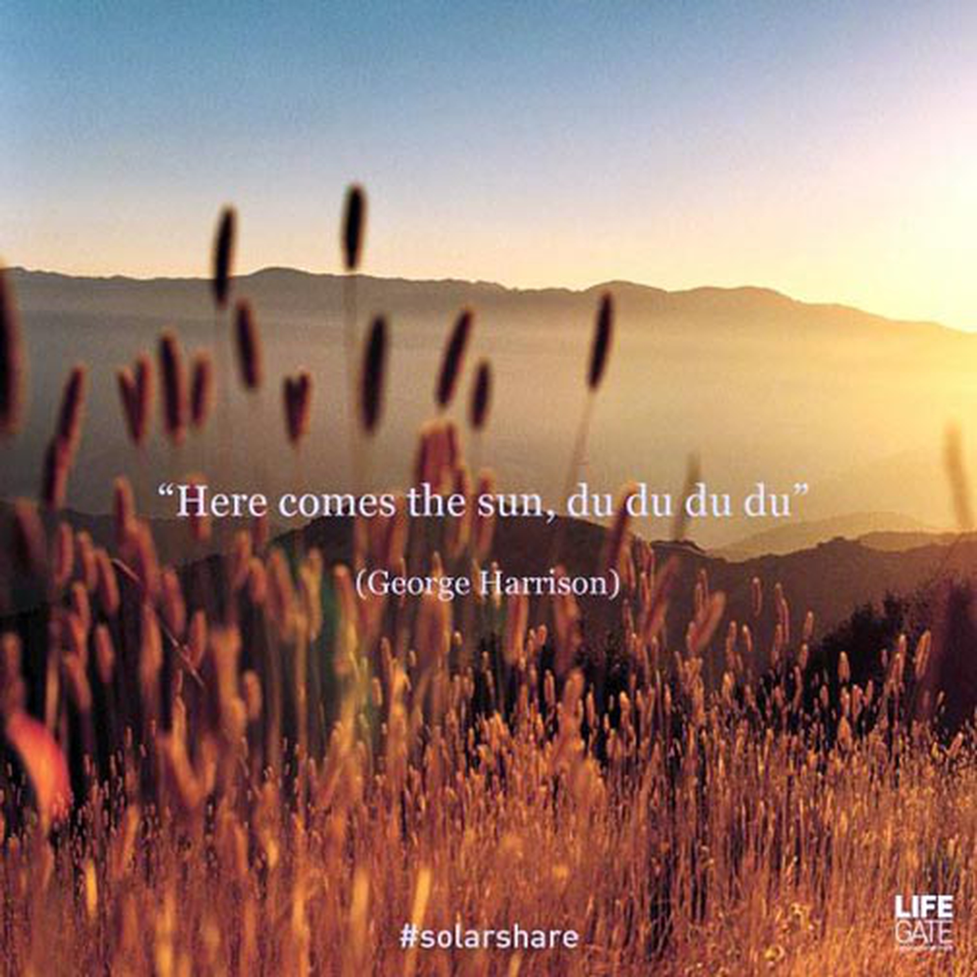 Le citazioni più belle per sempre - George Harrison